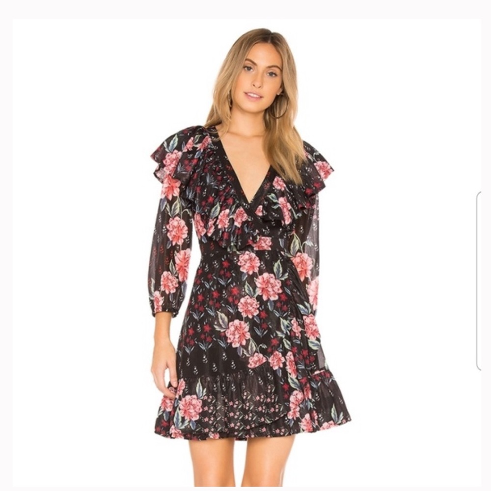 Devlin Revolve rose garden floral dress